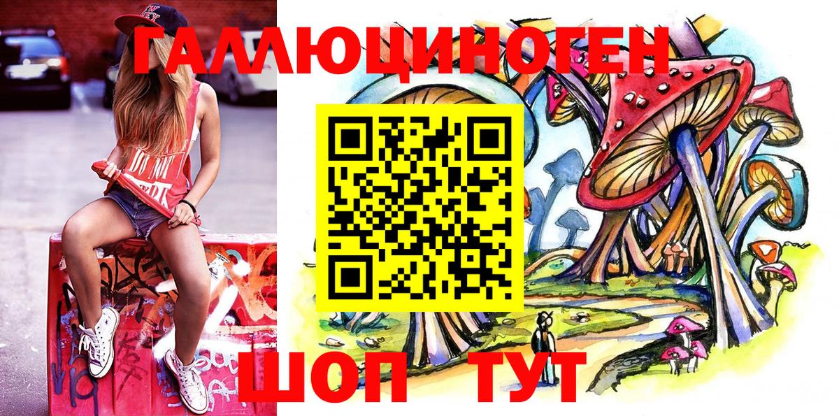 наркота  Псилоцибиновые грибы MAGIC MUSHROOMS  Белгород  Вход с VPN  Псилоцибиновые грибы GOLDEN TEACHER 